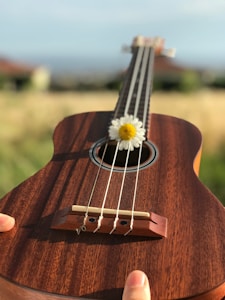 Flauta Mágica