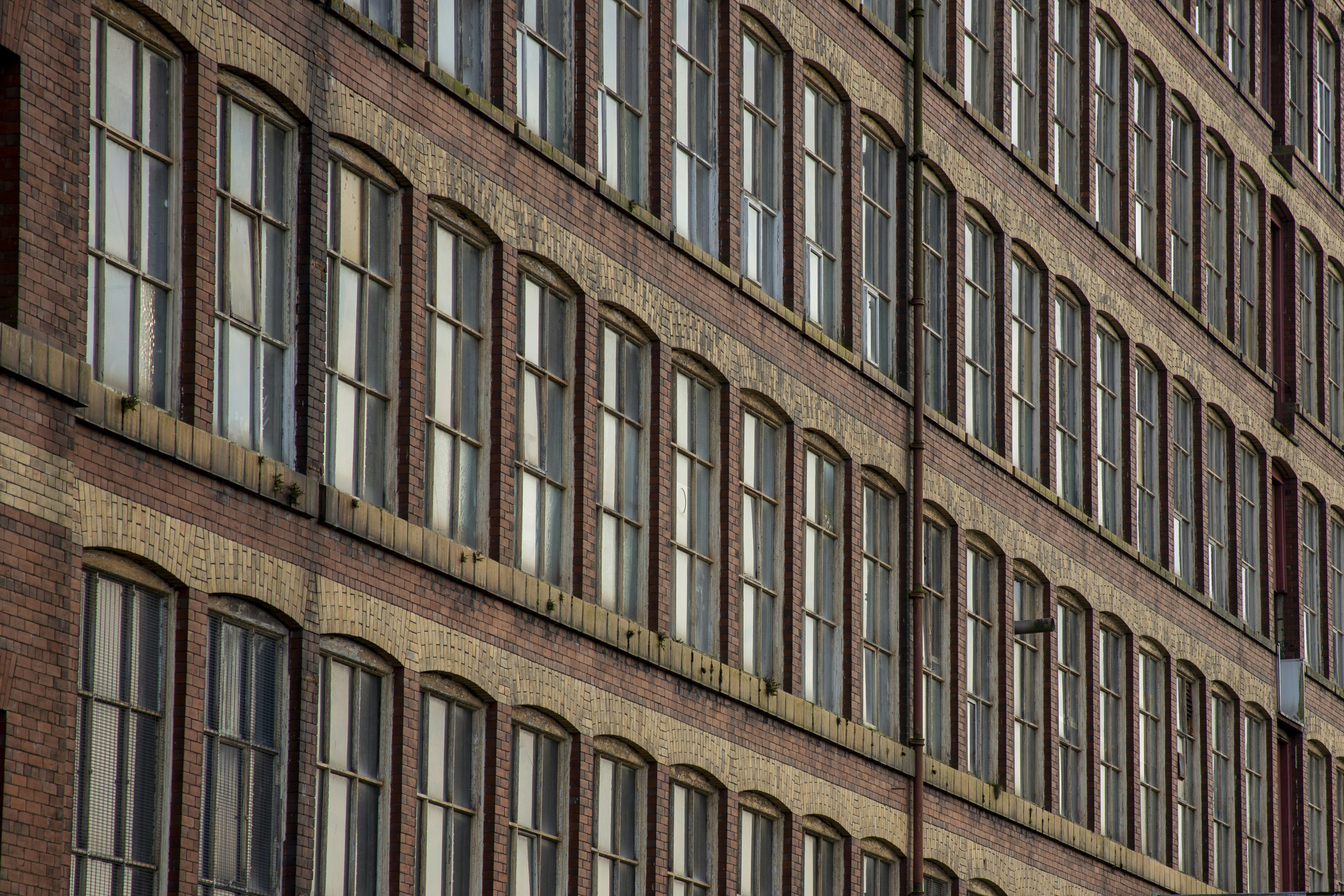 Photo by markjordan36