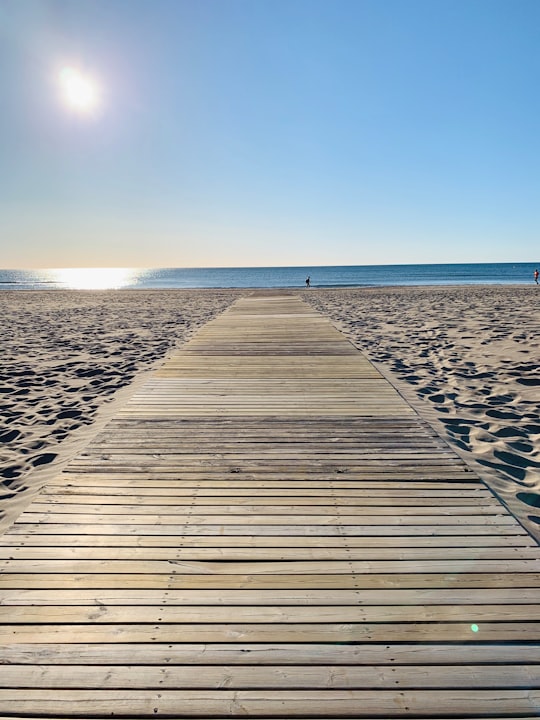 brown wooden dock on beach during daytime in Alboraya Spain