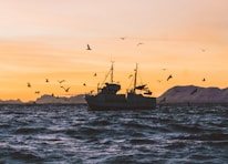 silhouette of boat on sea during sunset