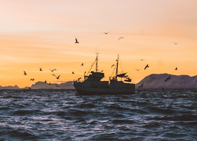 silhouette of boat on sea during sunset