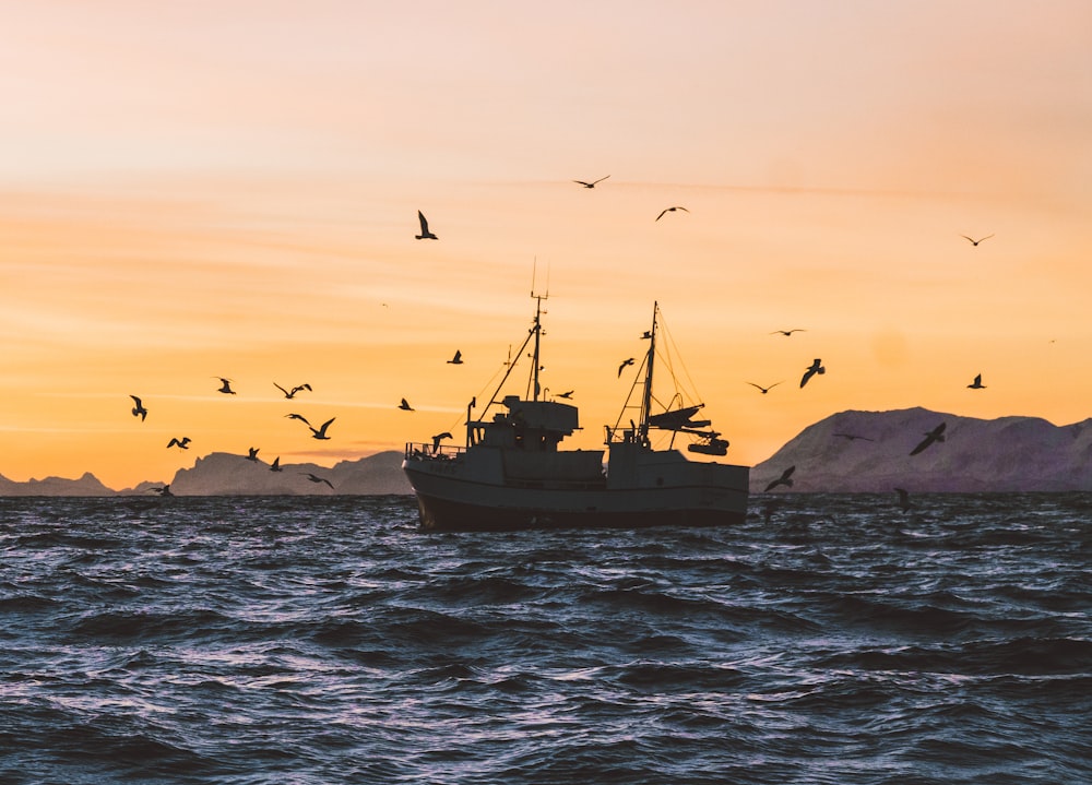 silhouette of boat on sea during sunset