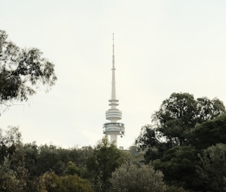 white concrete tower surrounded by green trees under white sky during daytime