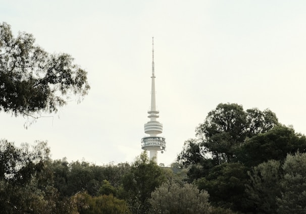 white concrete tower surrounded by green trees under white sky during daytime