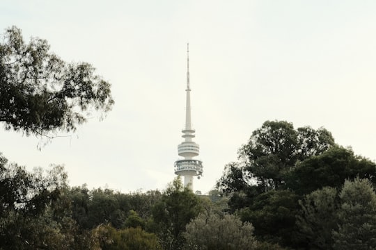 white concrete tower surrounded by green trees under white sky during daytime in Canberra ACT Australia