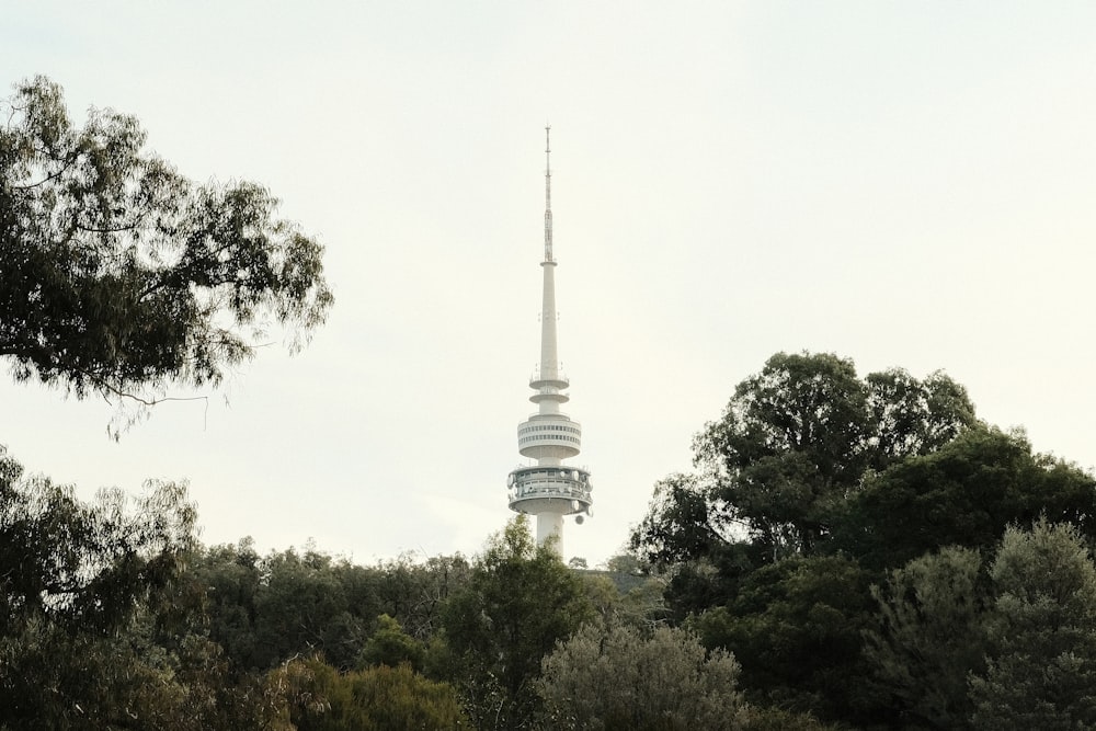white concrete tower surrounded by green trees under white sky during daytime