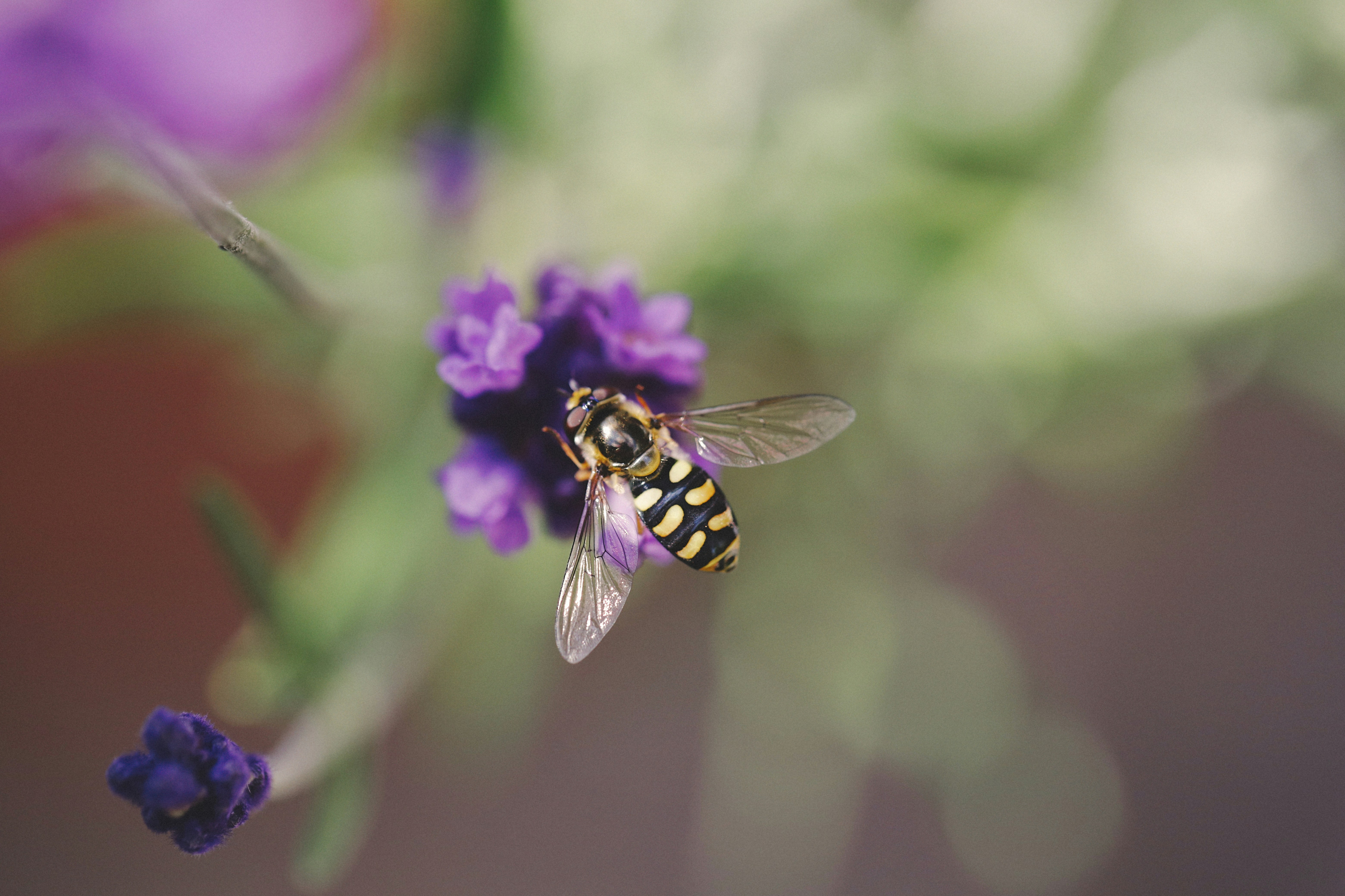 Photo by grievek1610begur
