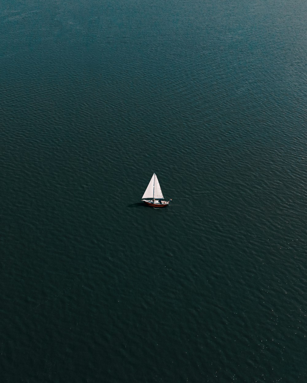 昼間の青い海に浮かぶ白い帆船