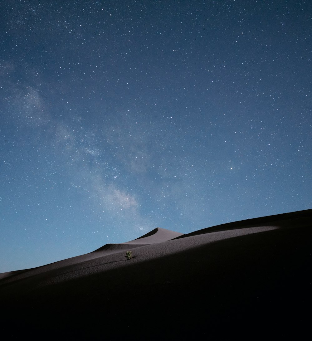 silhouette of person standing on brown sand under blue sky during night time