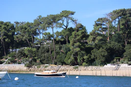 white and brown boat on blue sea during daytime