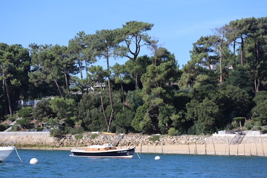 white and brown boat on blue sea during daytime in Cap Ferret France