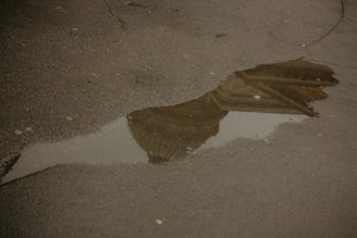 A cracked road with a deep pothole filled with rainwater reflecting nearby buildings.
