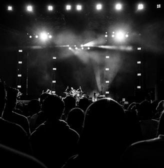 people watching concert during night time