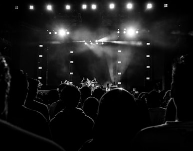 people watching concert during night time