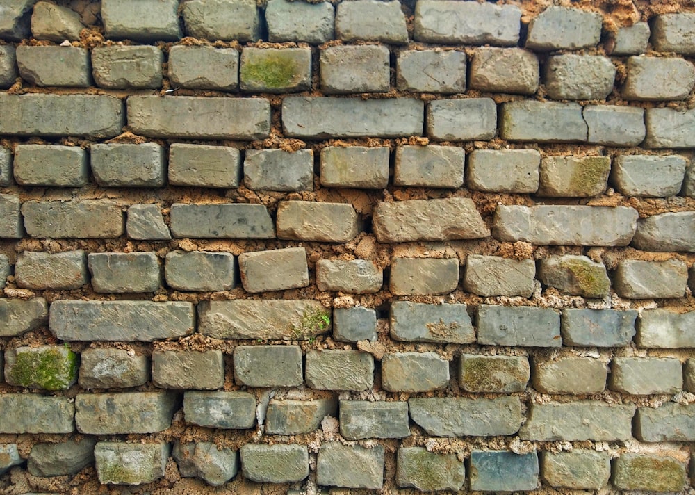 green and brown brick wall