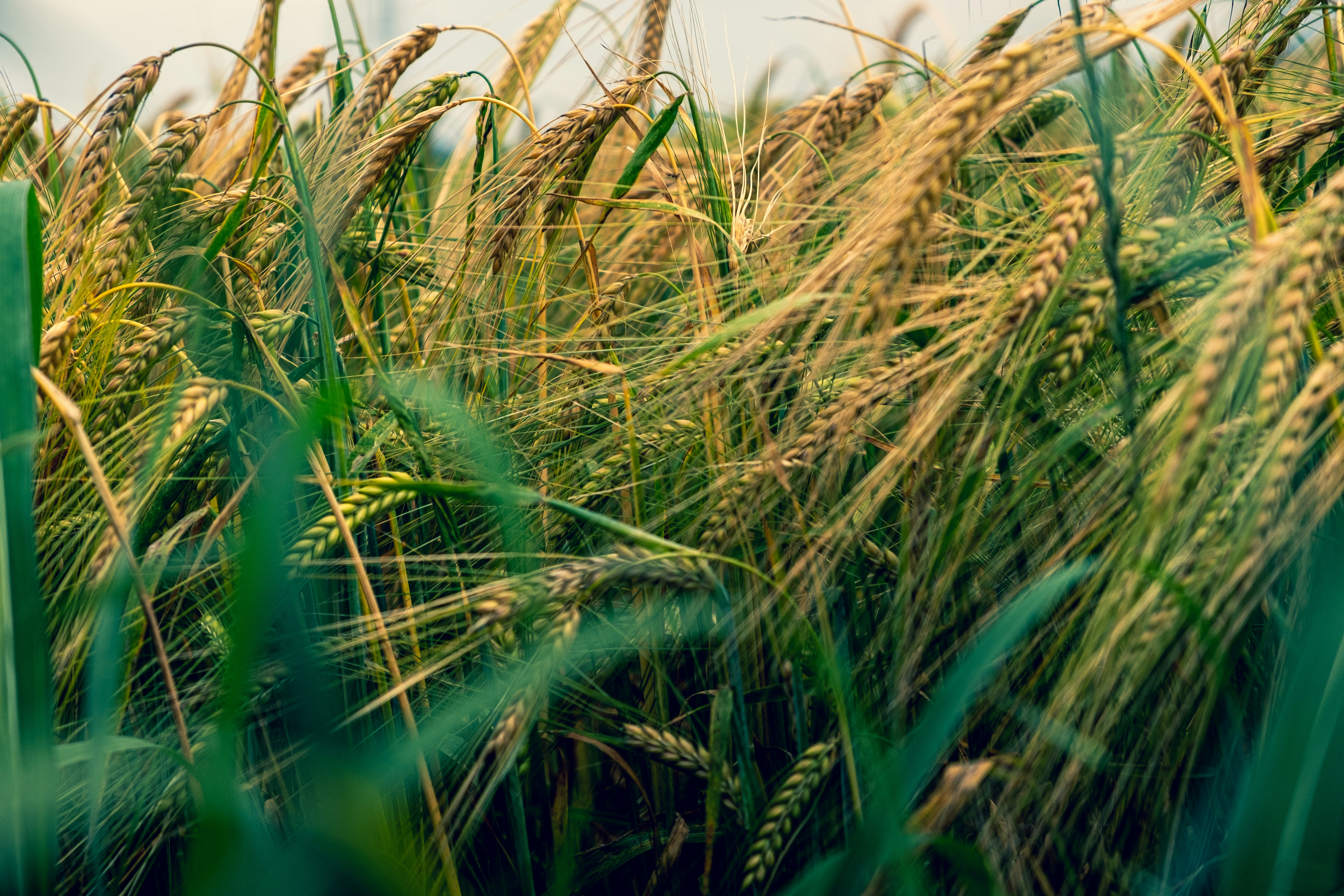 Photo by lanzoni_nicola