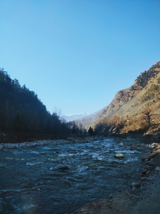 green trees beside river during daytime in Kullu India