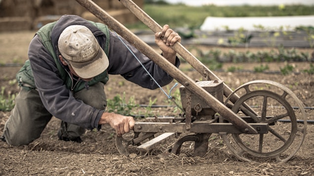 A person wearing a cap and jacket is kneeling on the ground, adjusting a farming tool with wheels in a garden or field. There are rows of small plants in the background, suggesting agricultural activity.
