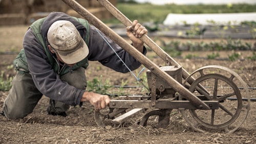 A person wearing a cap and jacket is kneeling on the ground, adjusting a farming tool with wheels in a garden or field. There are rows of small plants in the background, suggesting agricultural activity.