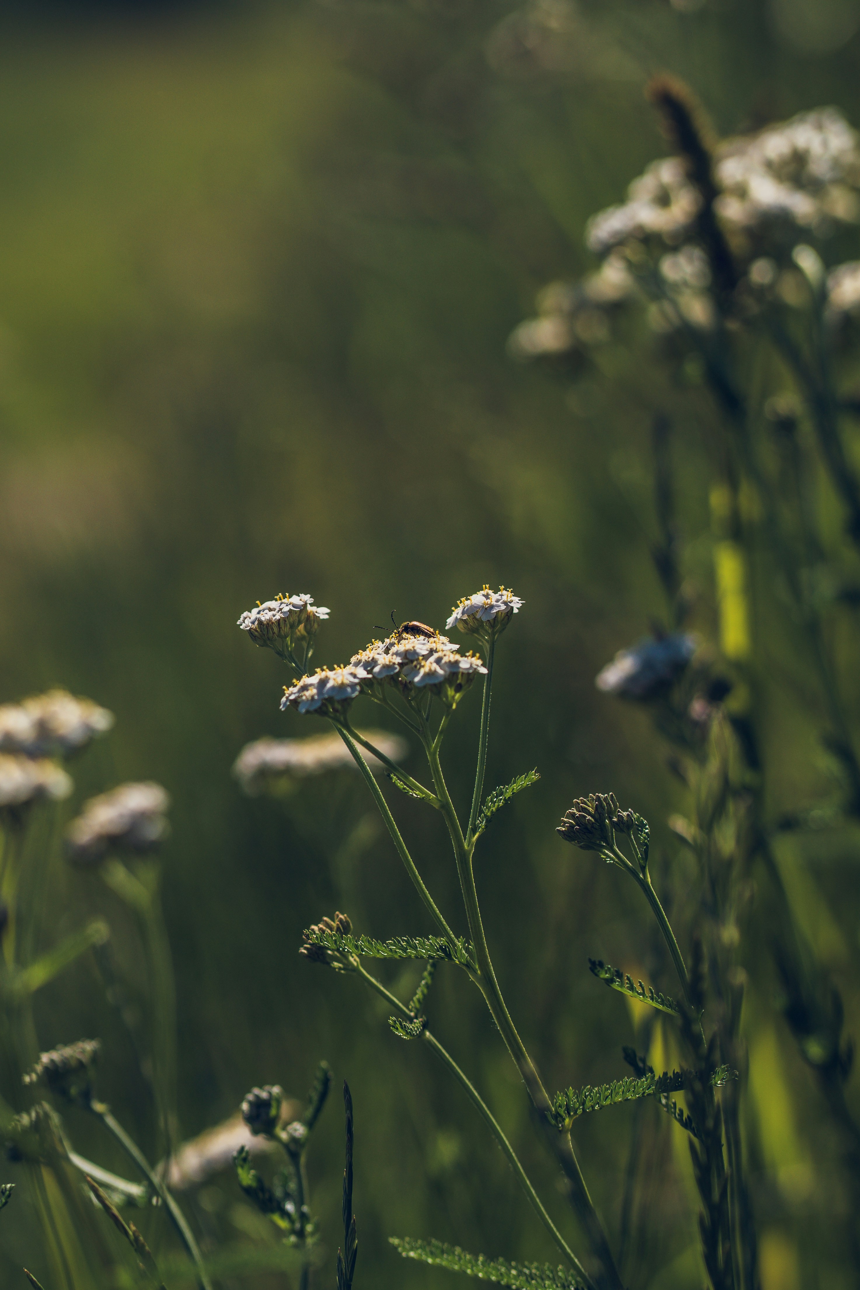 Photo by dominik_kempf