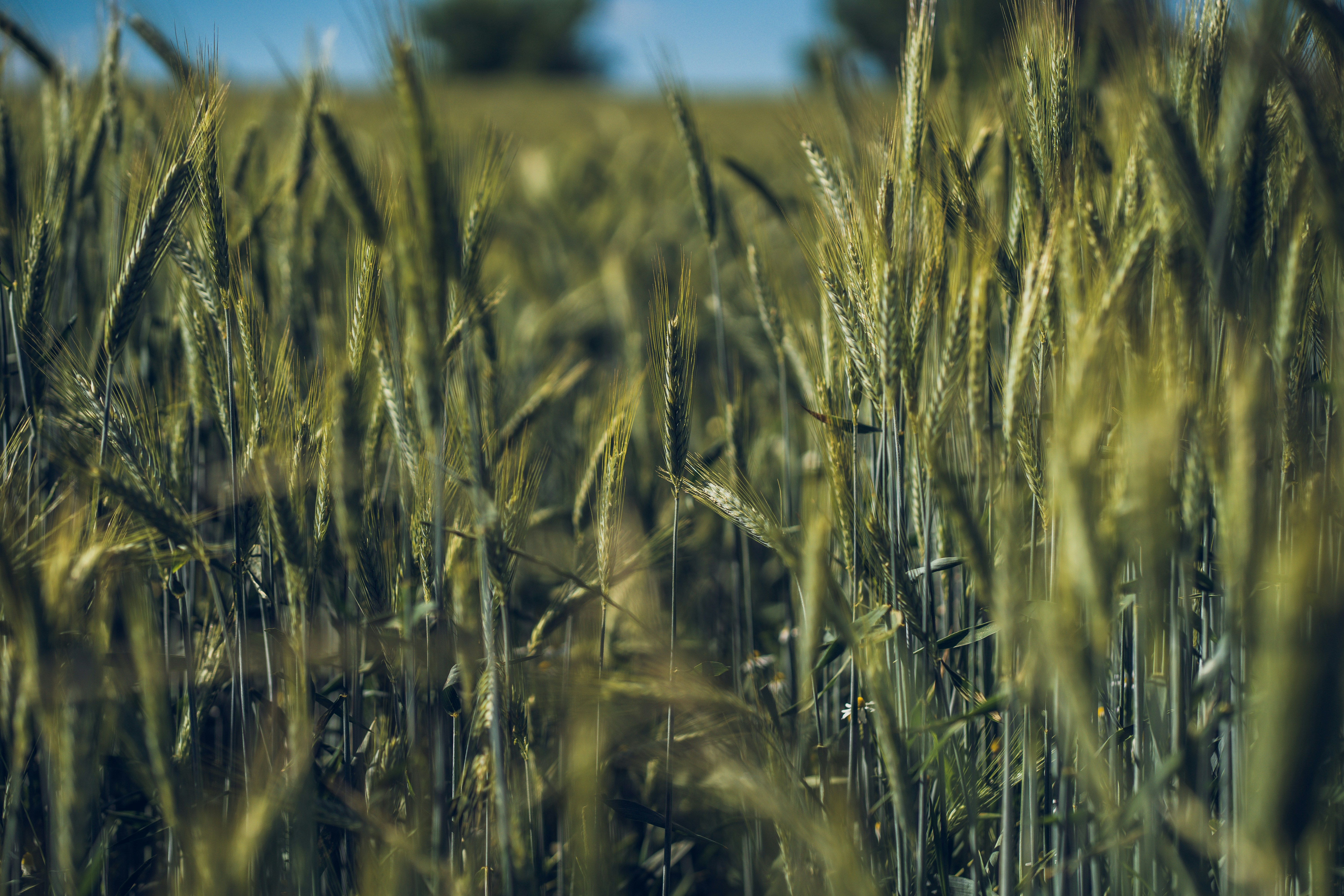 Photo by dominik_kempf