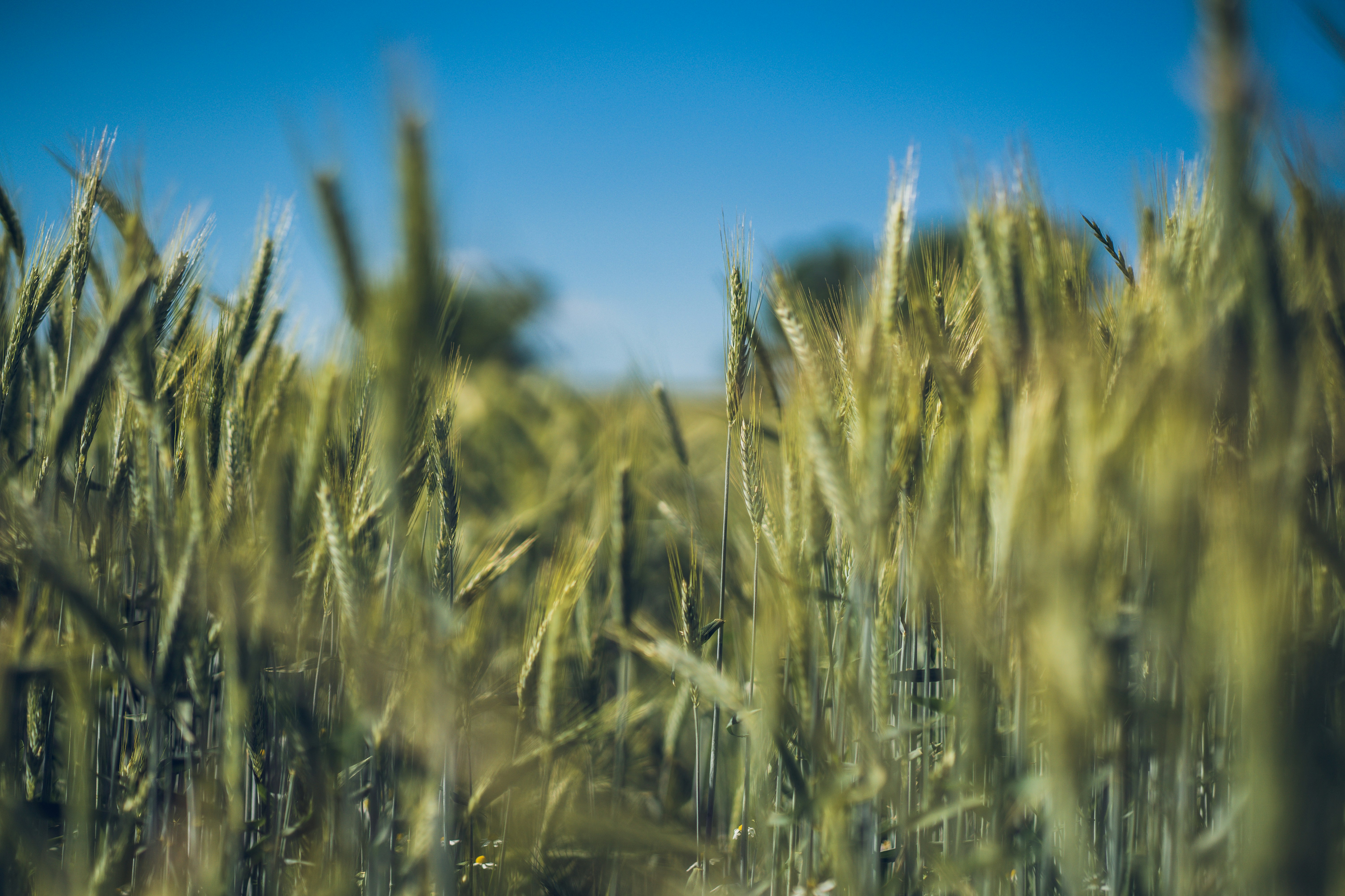 Photo by dominik_kempf