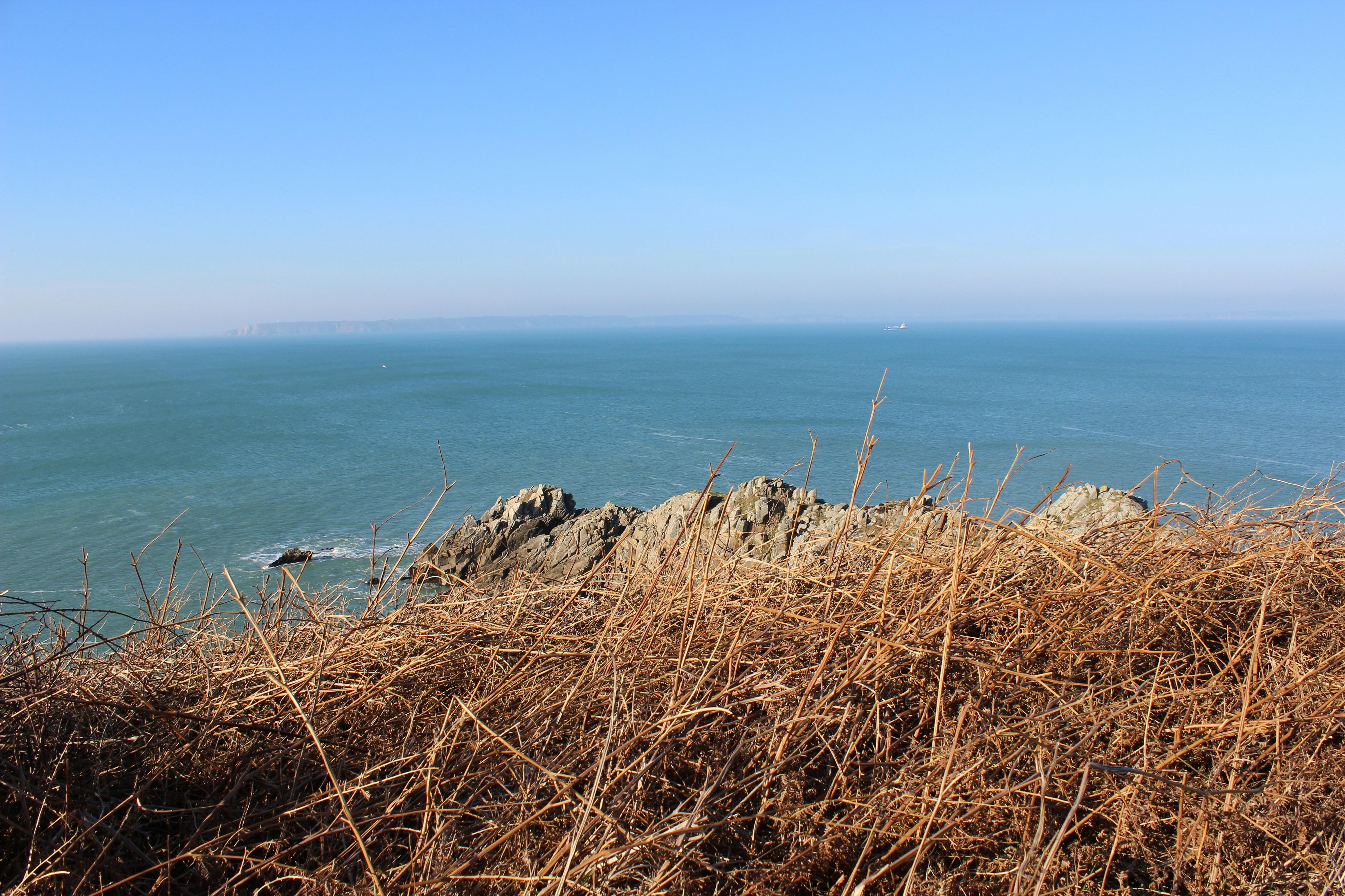 Photo by lalalulu2020