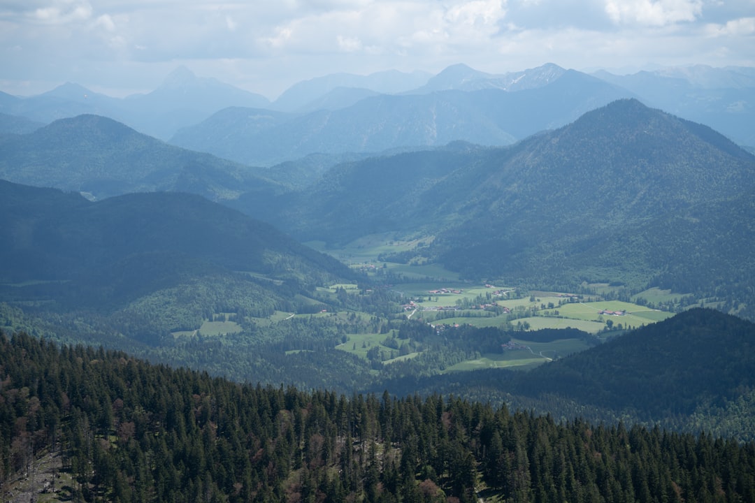 green trees on green mountains during daytime