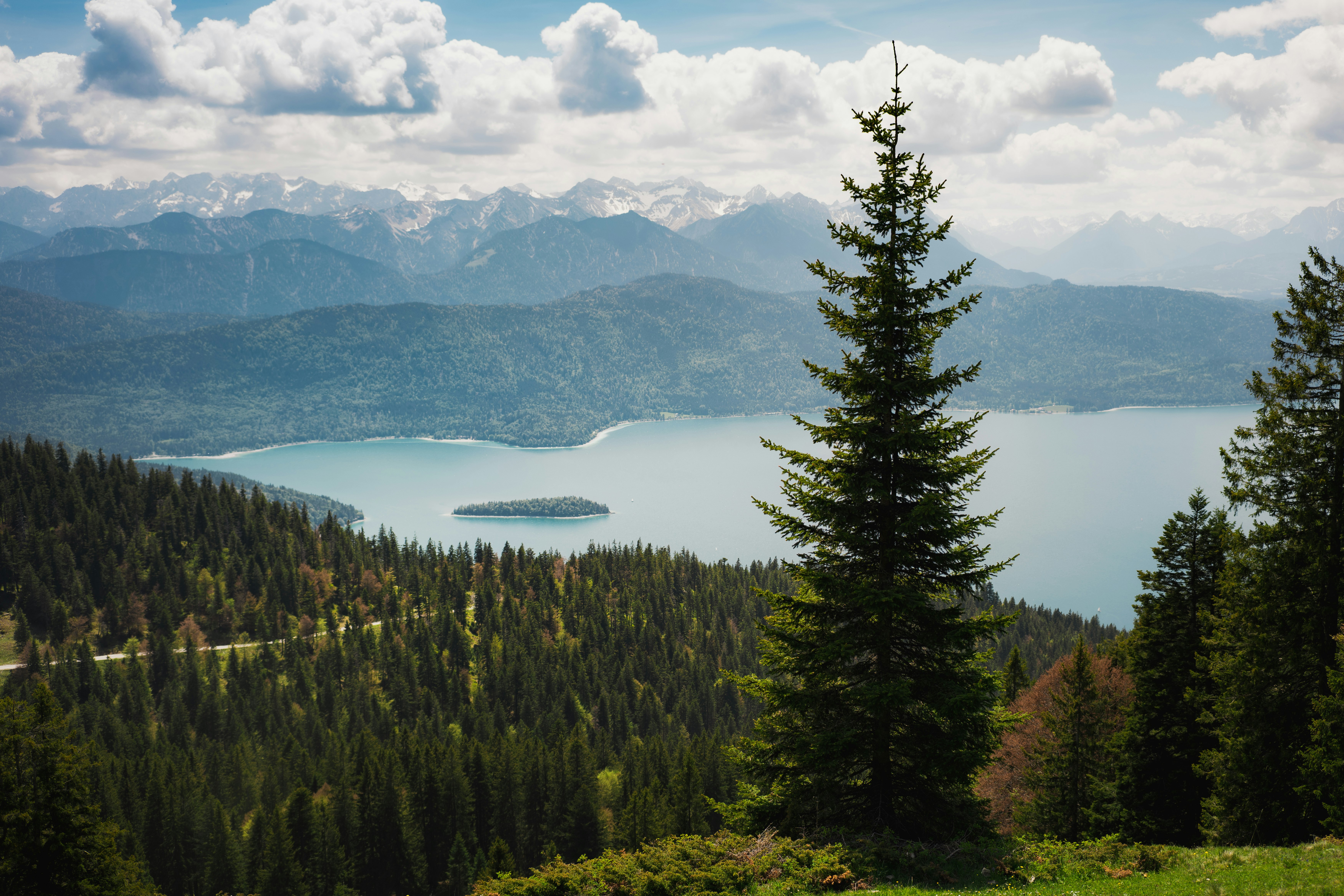 green pine trees near lake under white clouds and blue sky during daytime