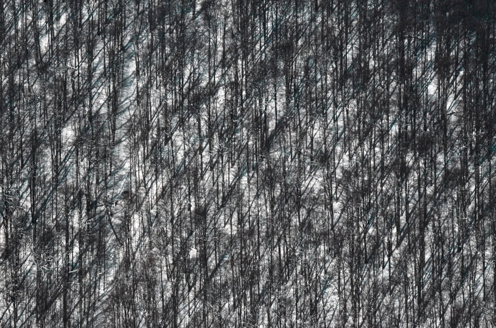 gray and black abstract painting
