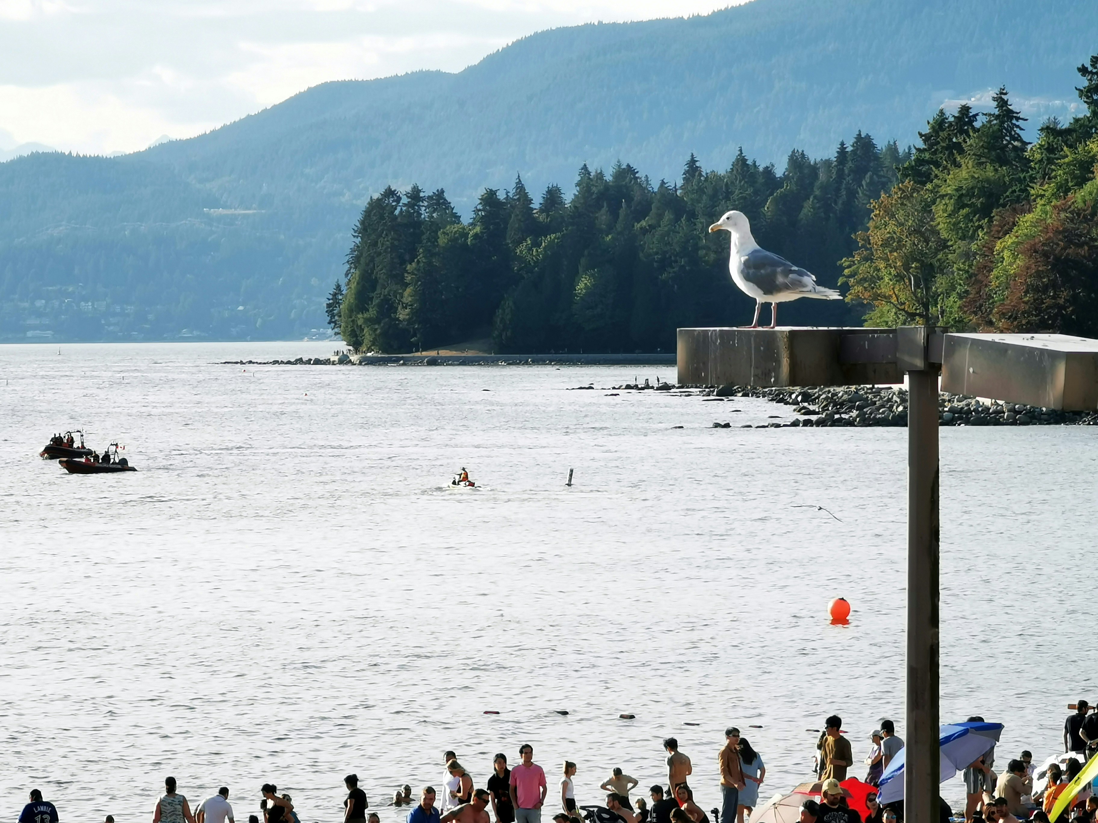 people on beach during daytime