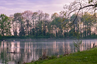 A delicate watercolor painting of a serene lakeside scene with soft pastel hues.