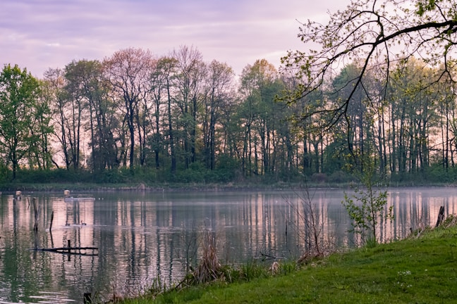 Delicate watercolor painting of a serene lakeside scene with soft pastel tones.
