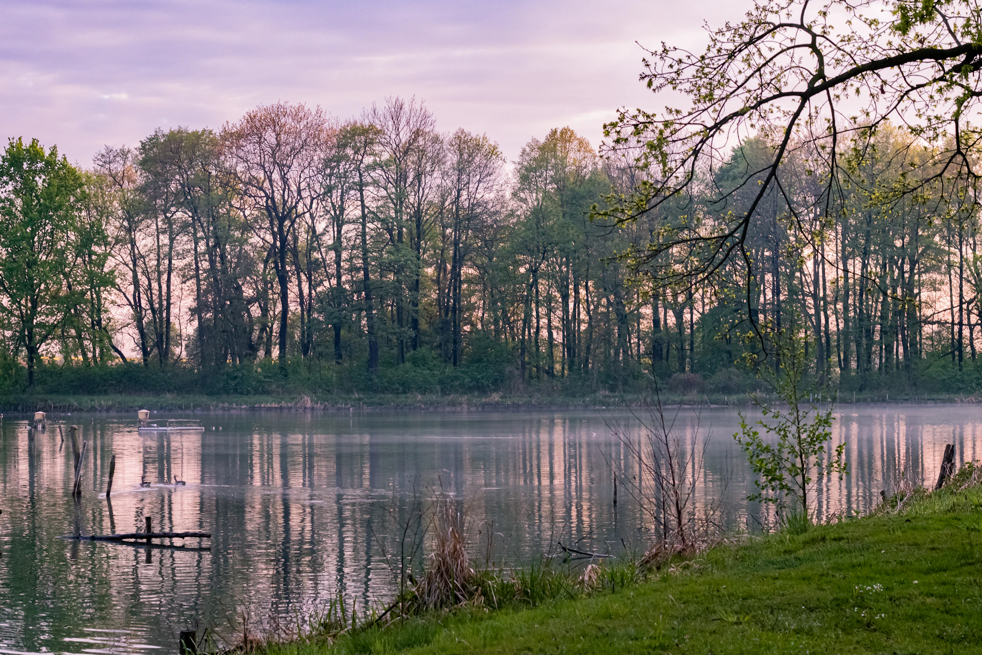 A delicate watercolor of a serene lakeside scene, showcasing soft hues and gentle reflections.