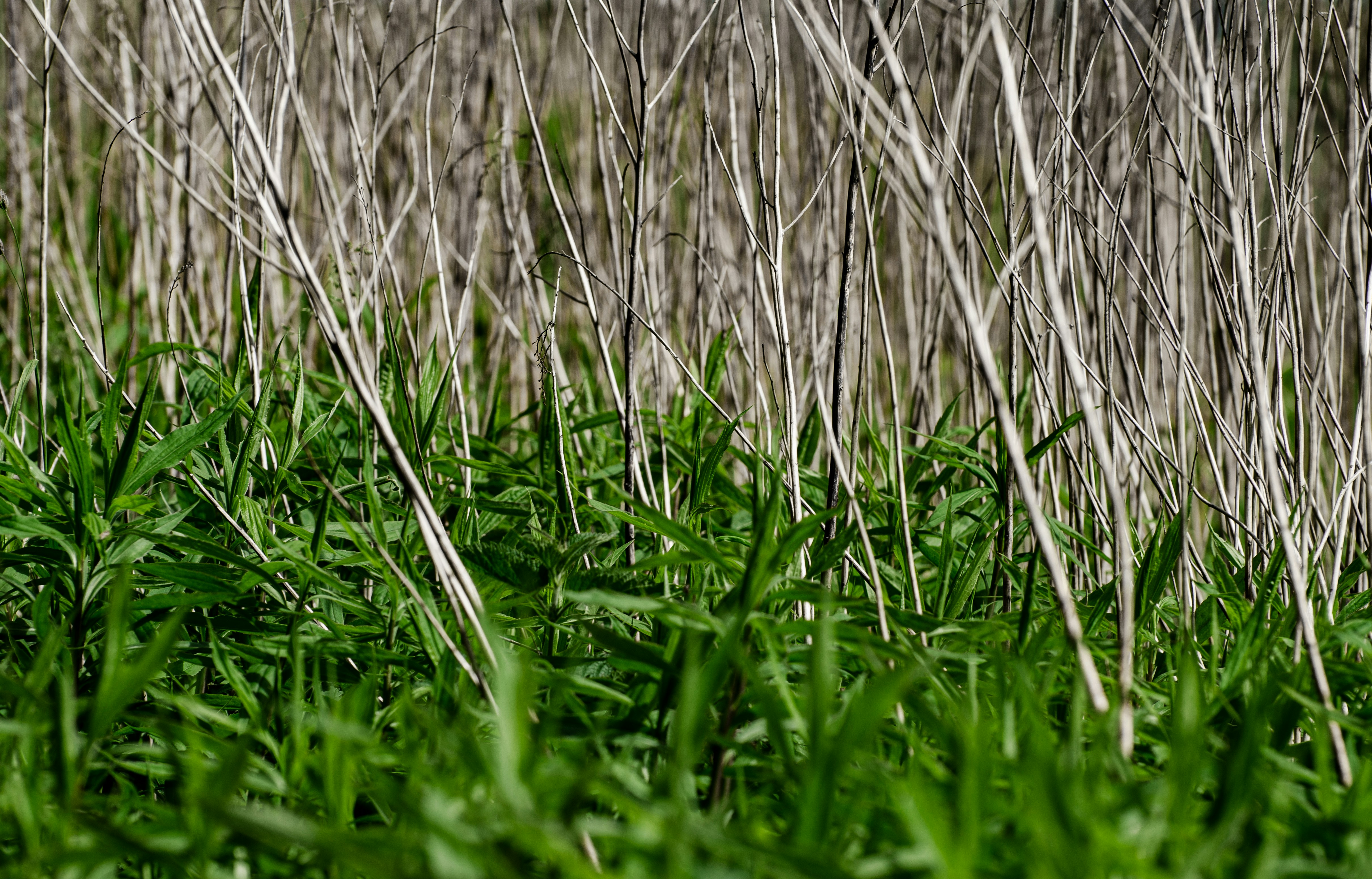 Photo by viktortalashuk