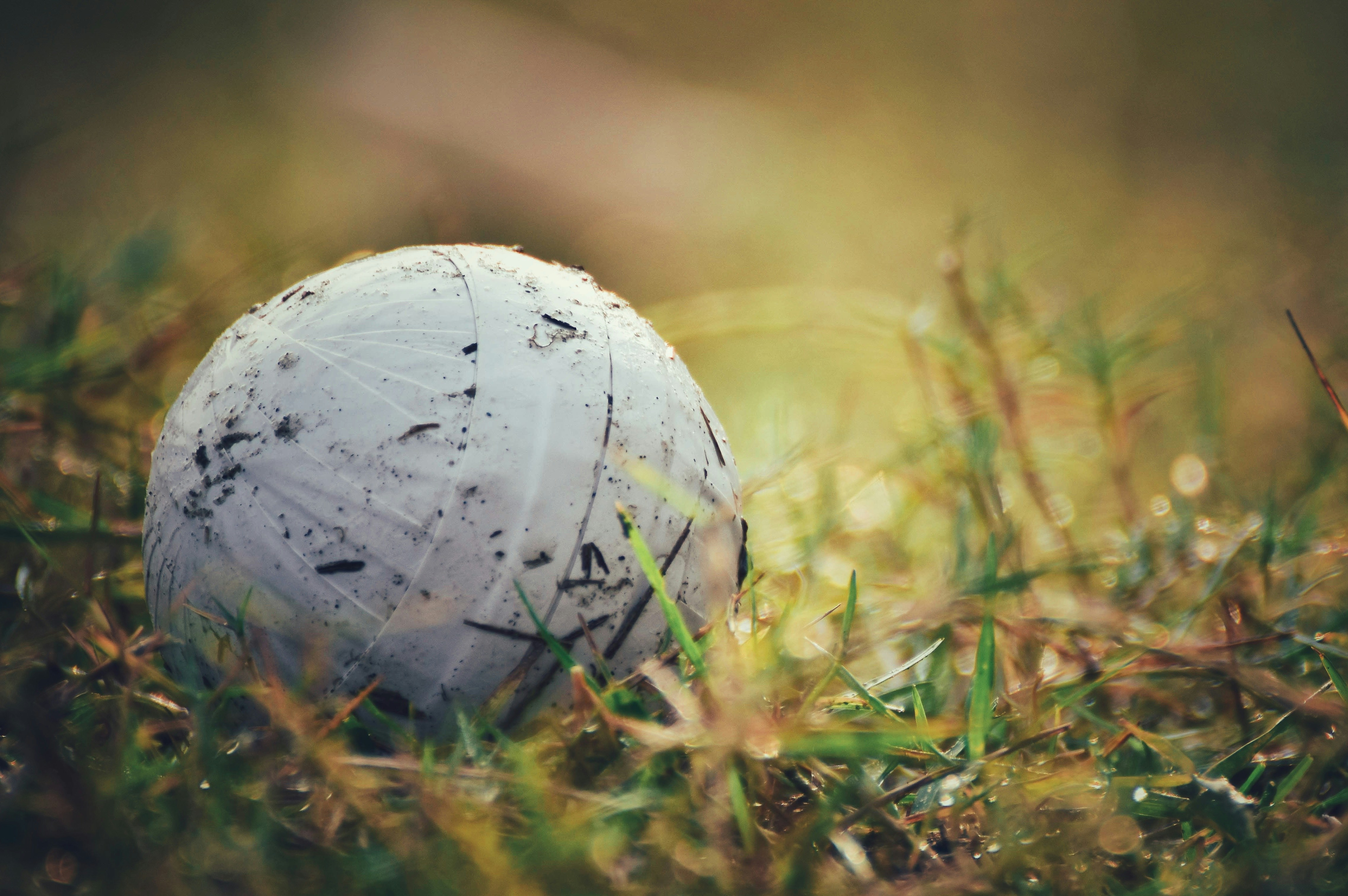 緑の芝生に白いボールの写真 Unsplashで見つけるバングラデシュの無料写真