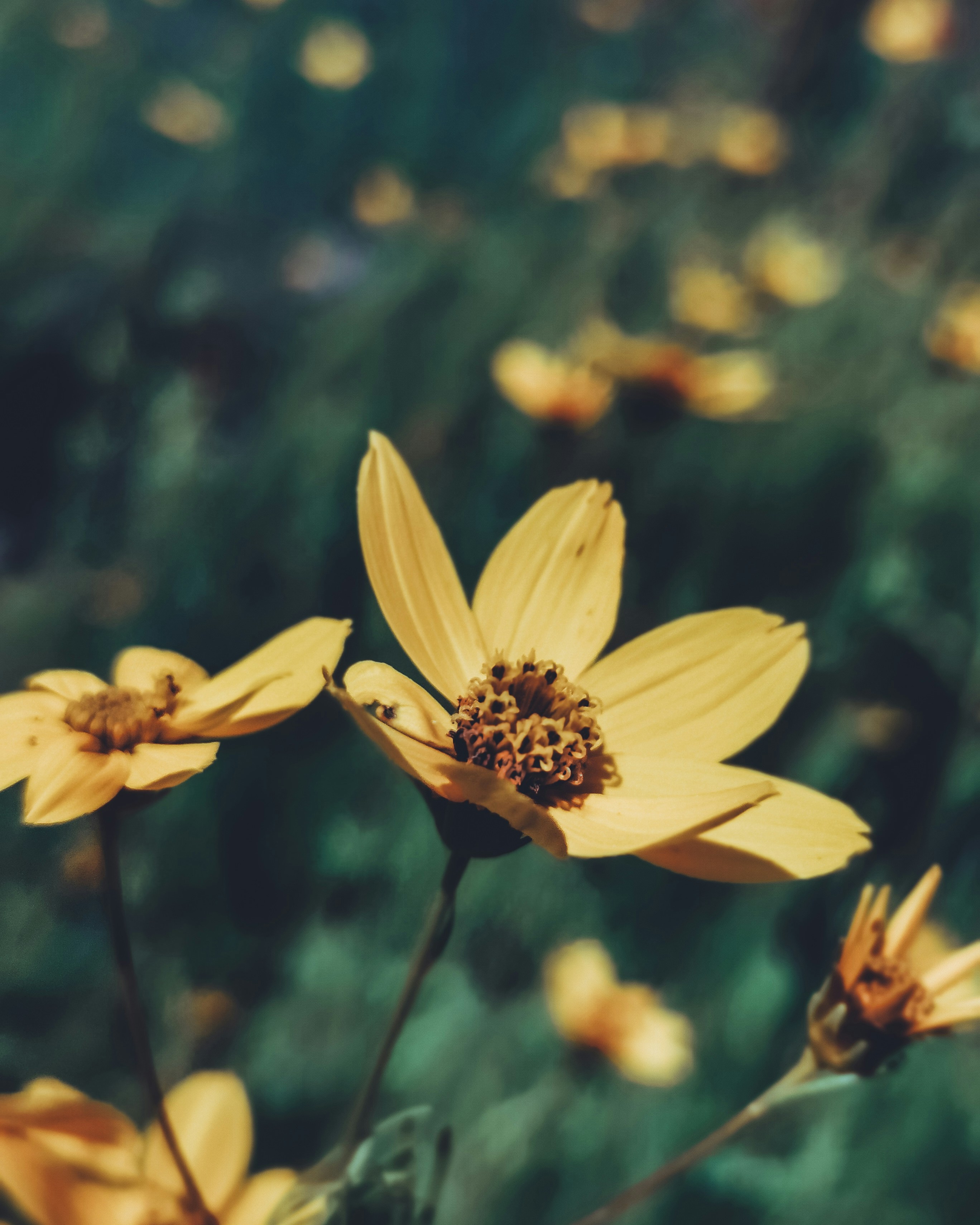 Photo by vmelnechenko