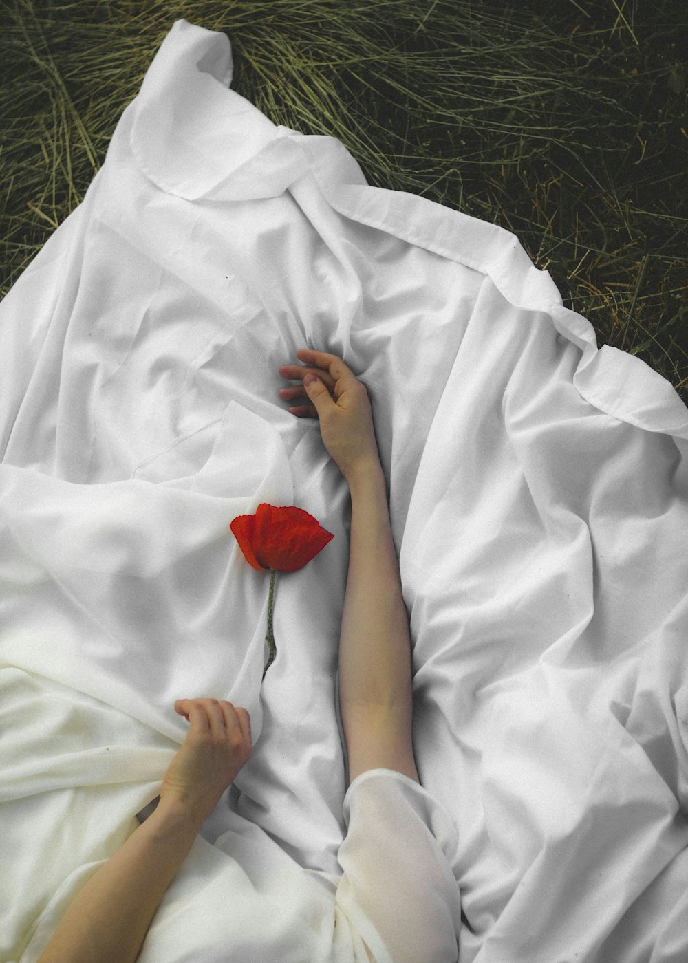 person in white robe holding red rose