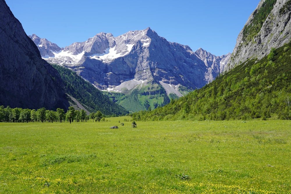 green grass field near snow covered mountain during daytime