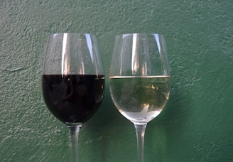 Elegant wine glasses filled with red and white wine against the backdrop of floral wall art