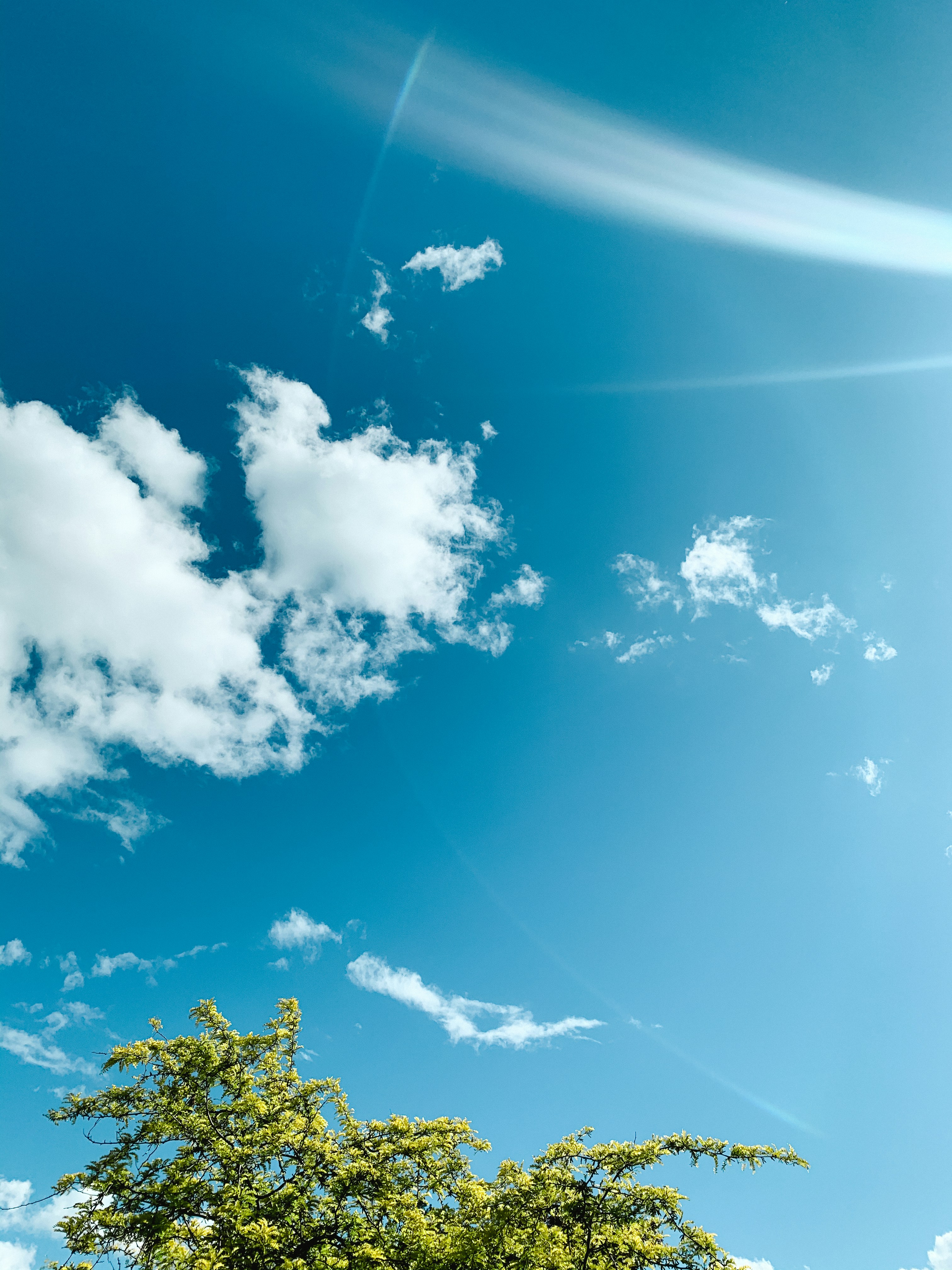 Photo by kolbymilton