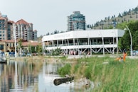 white and green train on bridge over river during daytime