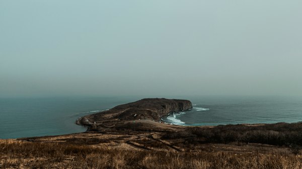 Brown grass field near body of water during daytime — Vladivostok, Russia