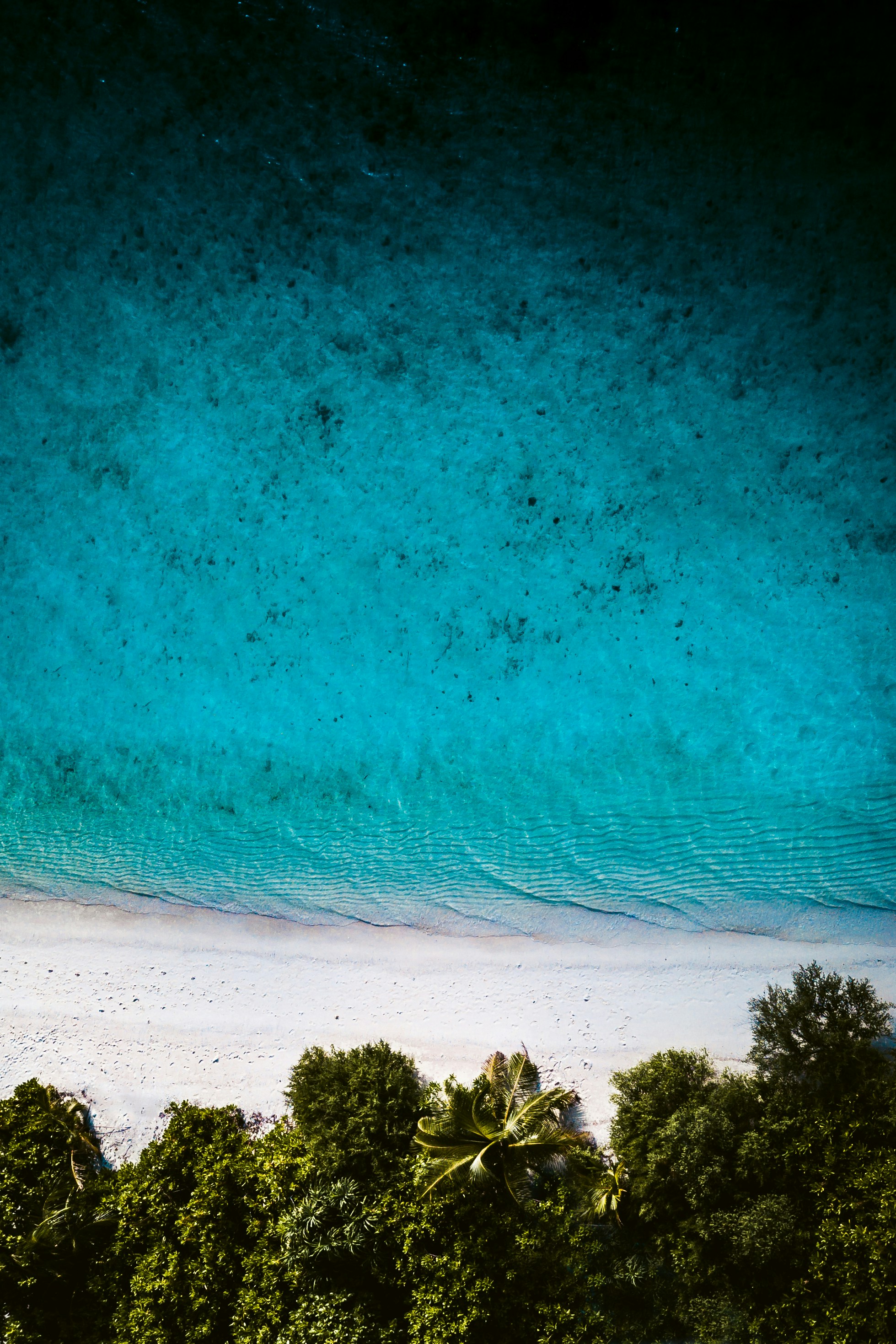 Photo by abrahm
