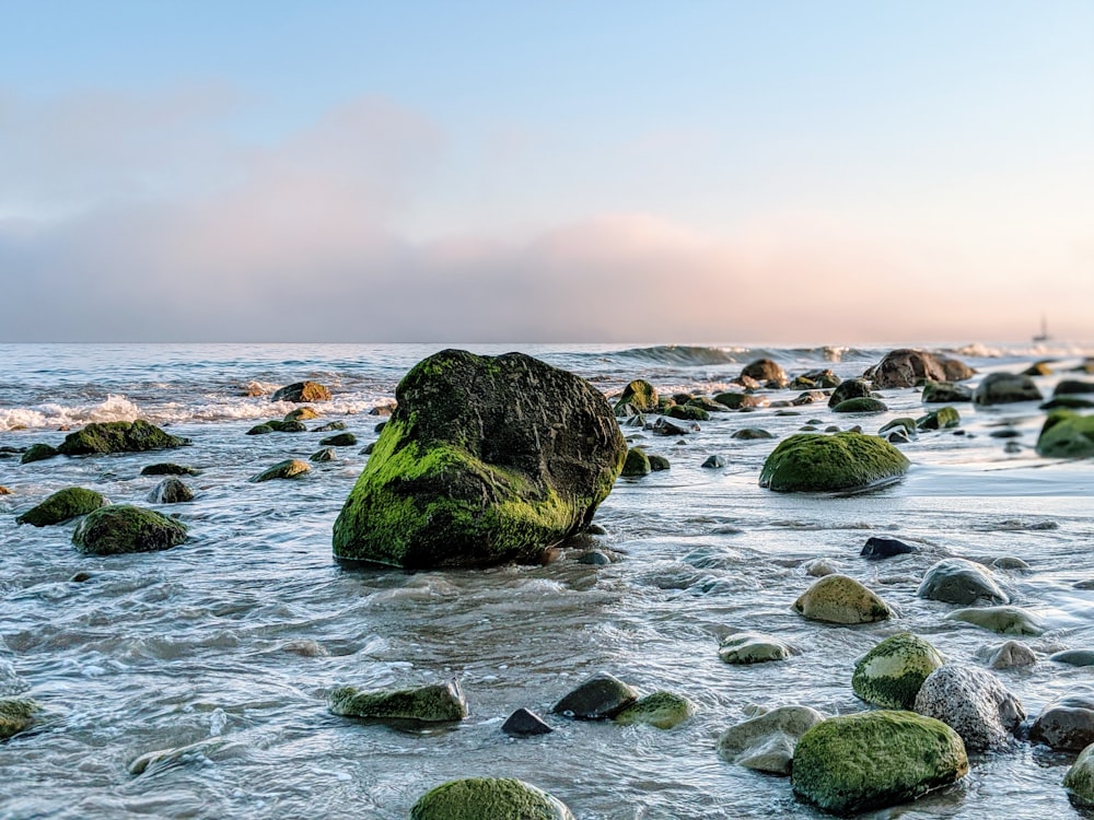 gray rock on body of water during daytime