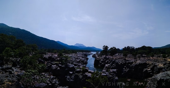 Hogenakkal things to do in Cauvery River