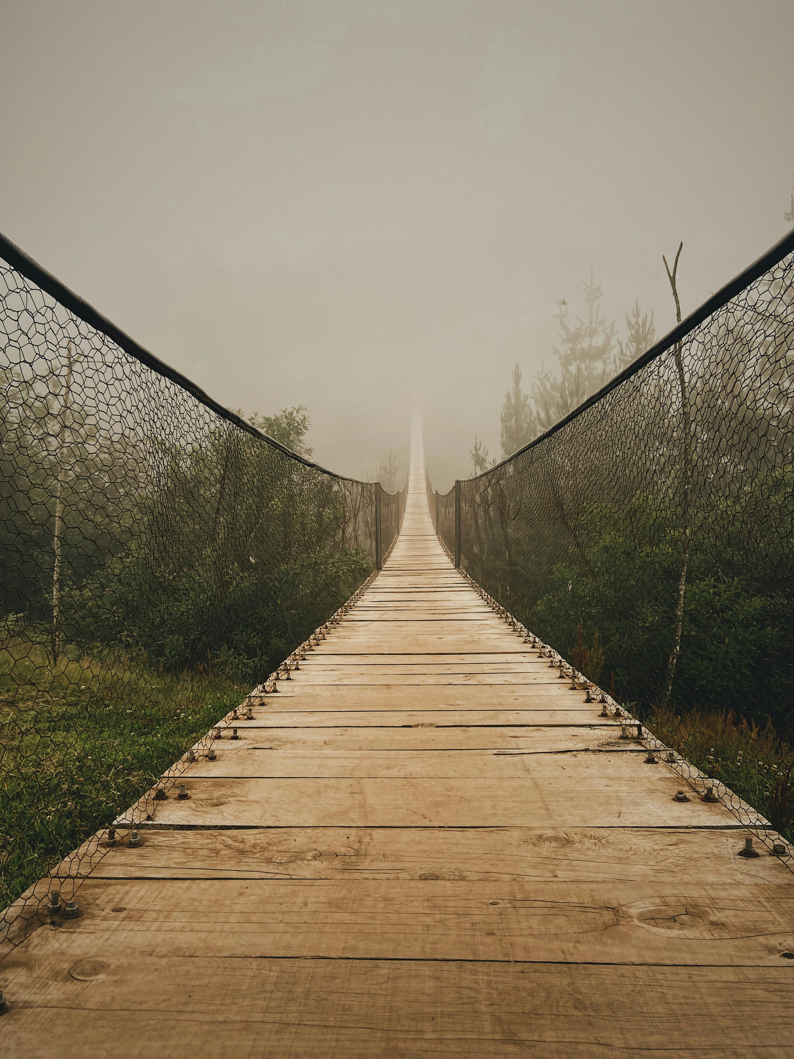 brown wooden bridge over green grass field