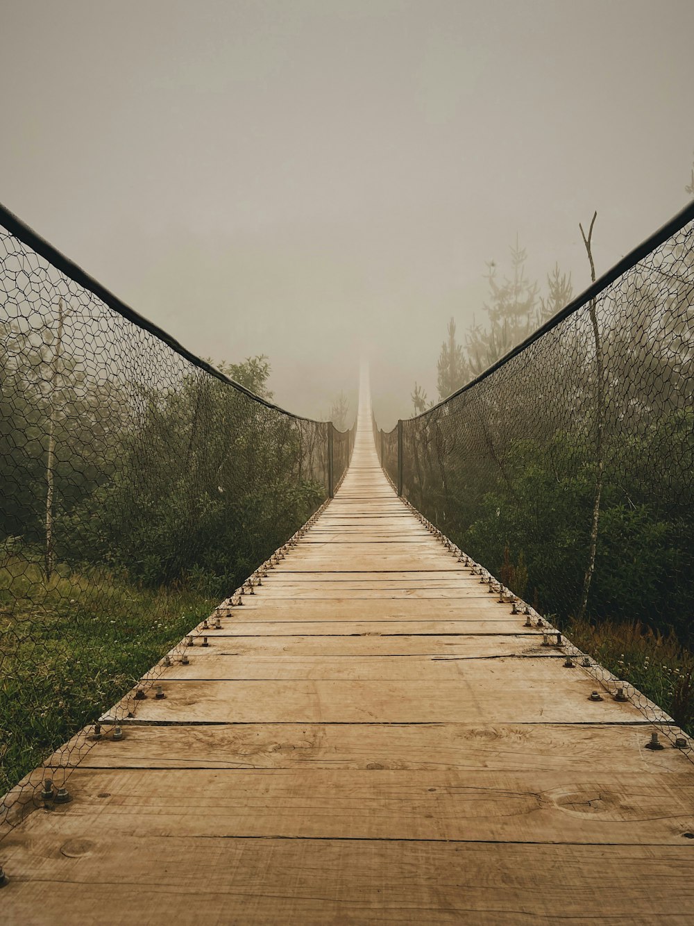 brown wooden bridge over green grass field