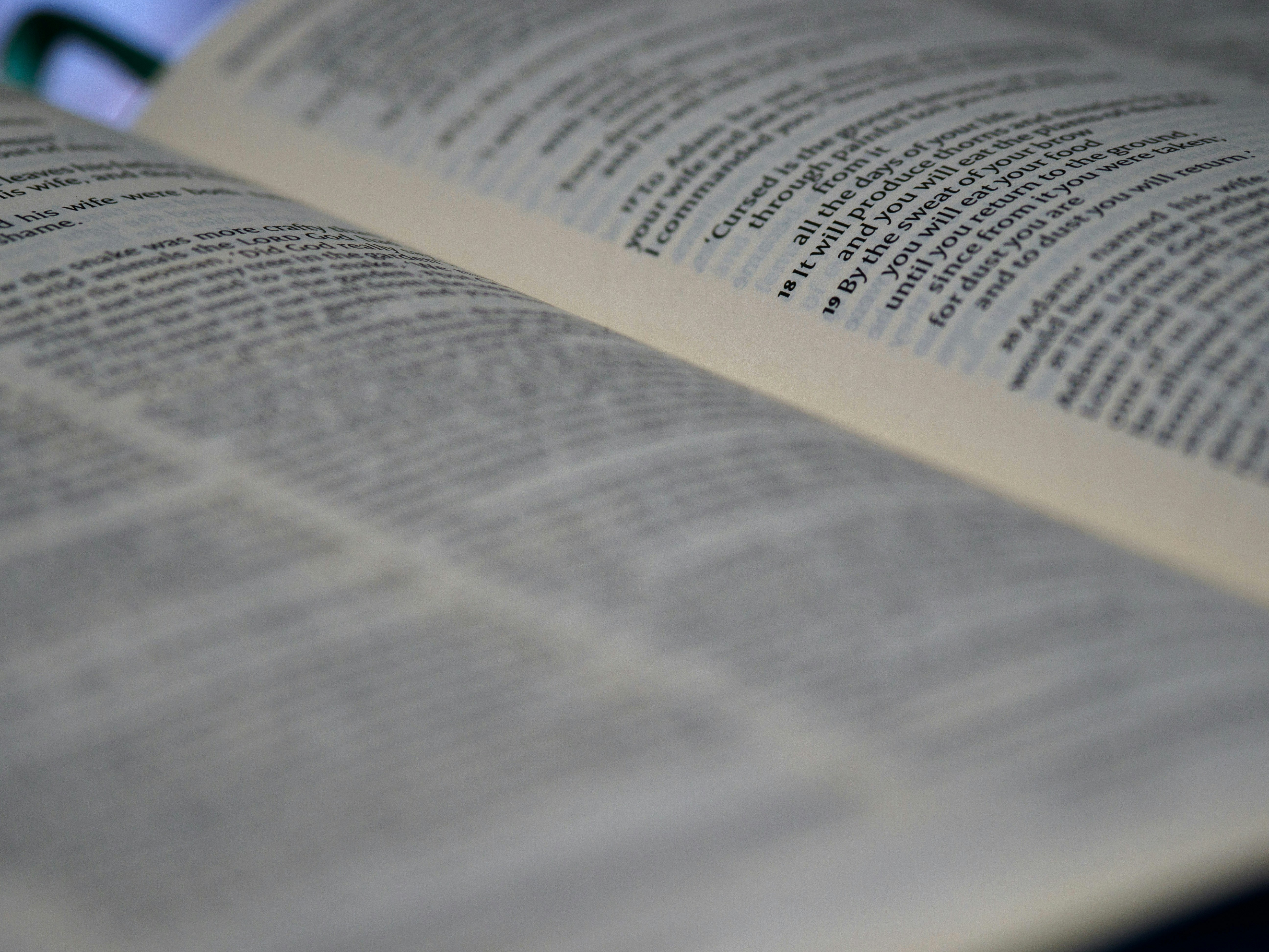 Photo by brett_jordan