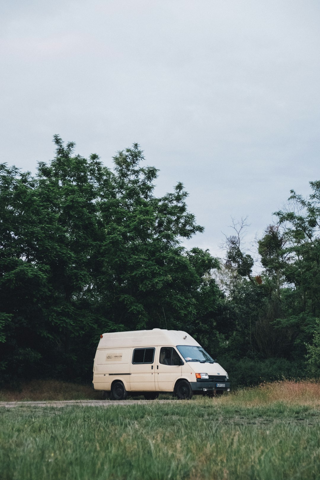 white van parked near green trees during daytime
